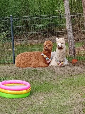 Wycieczka klasy 3 a oczami ucznia.