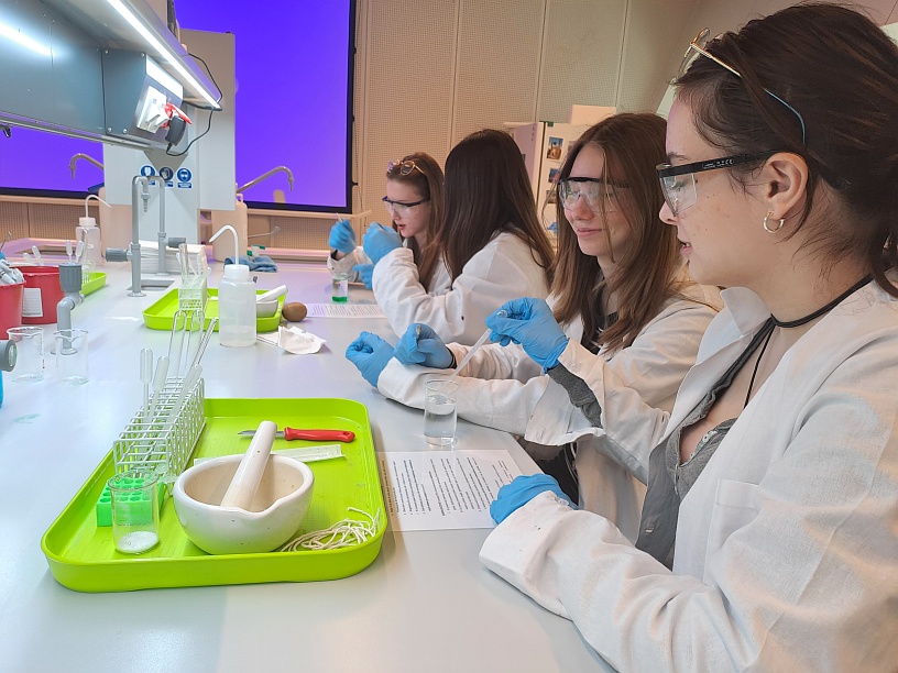 Warsztaty edukacyjne klas siódmych